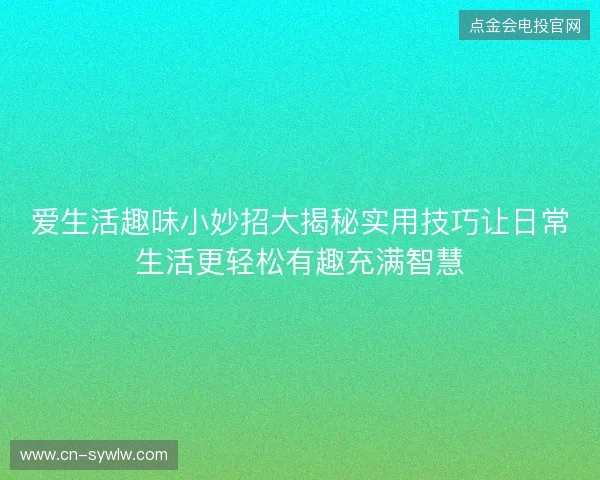 爱生活趣味小妙招大揭秘实用技巧让日常生活更轻松有趣充满智慧